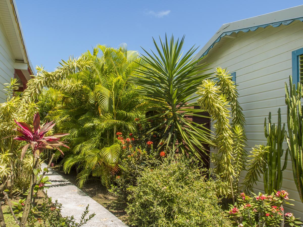 Coco Bungalows Sainte-Rose Exteriör bild