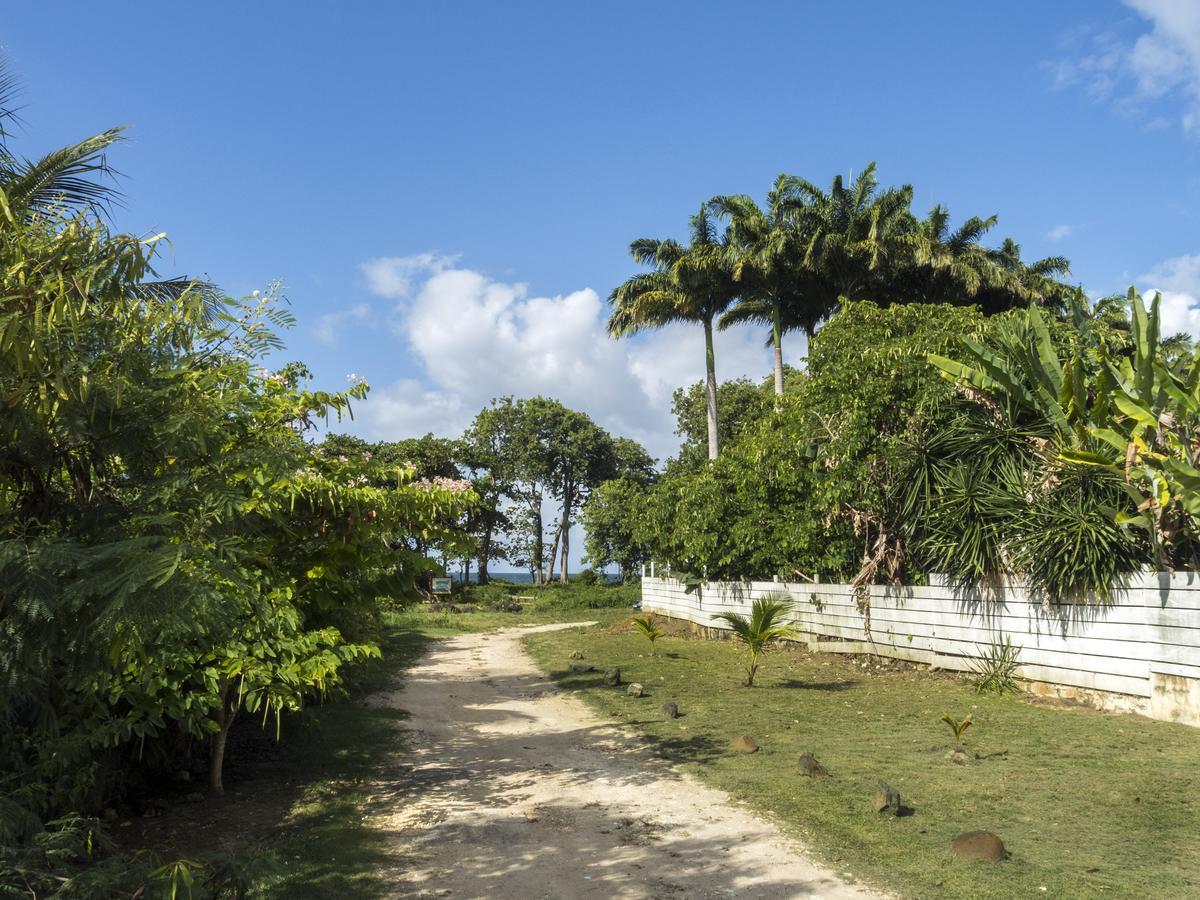 Coco Bungalows Sainte-Rose Exteriör bild